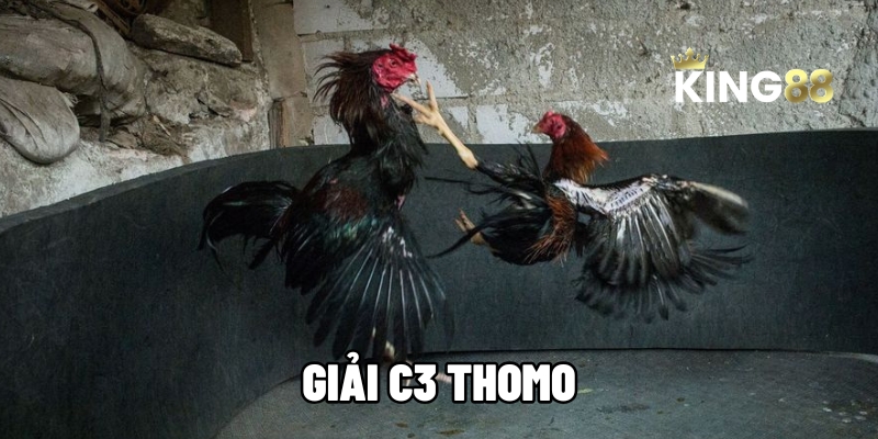 giai thomo c3 king88 1